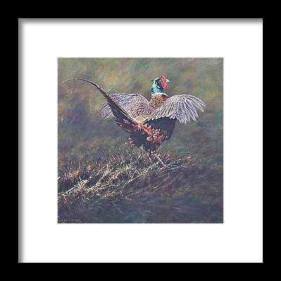 Unique Game Bird Wall Art gifts