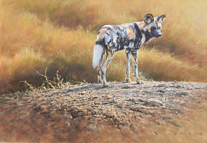 Painted African Dog Original For Sale