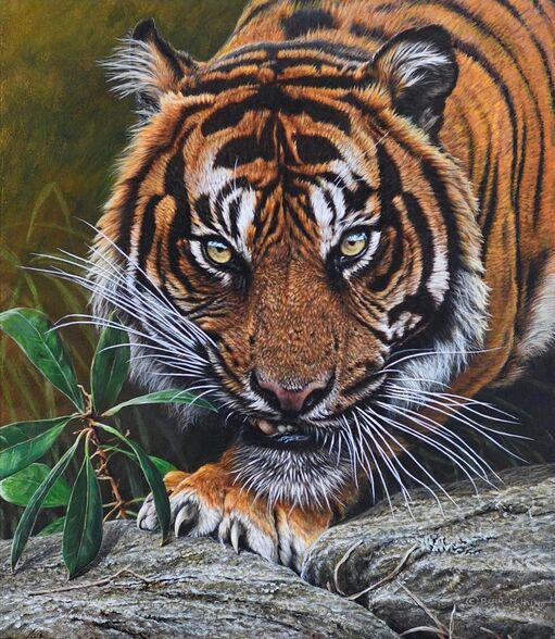 Original Tiger Painting by Alan M Hunt