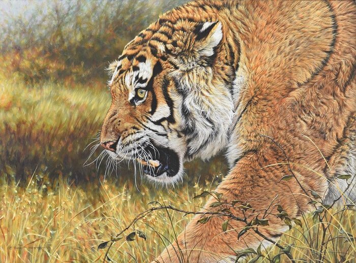 Original Tiger Painting for sale