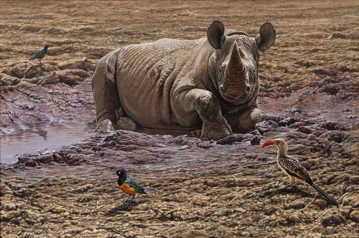Rhinoceros Prints for sale