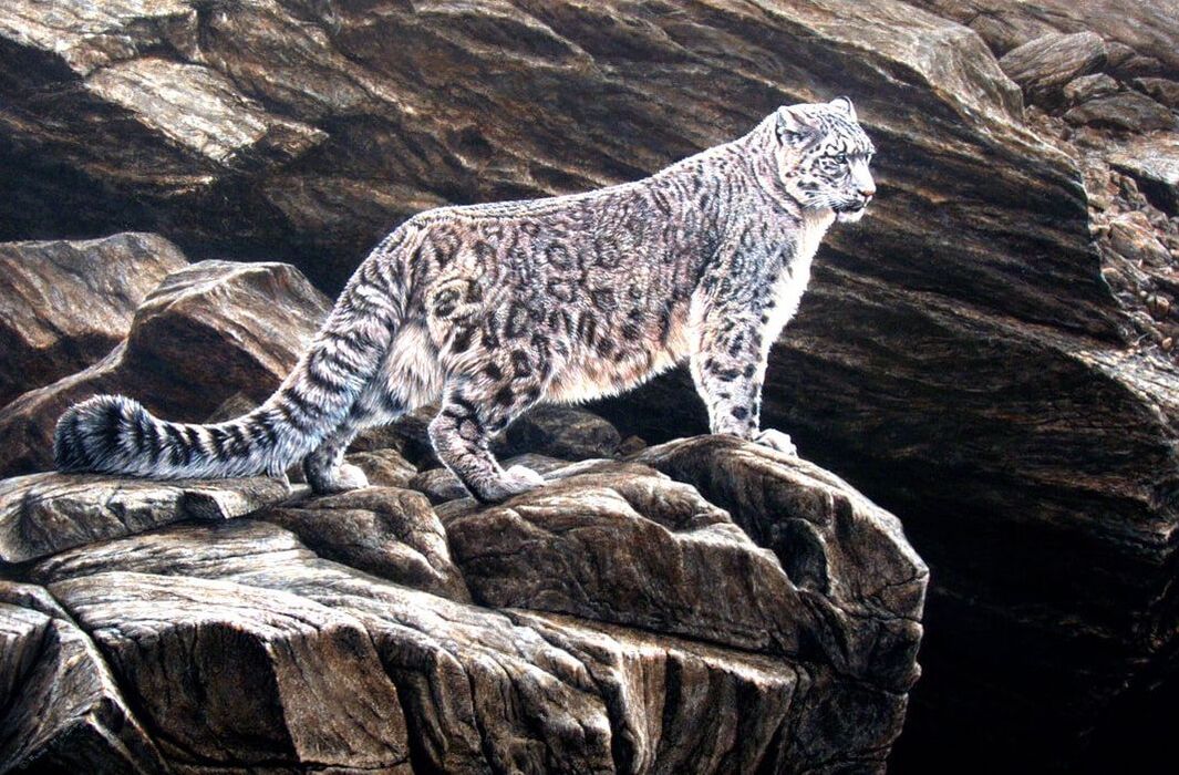 Original Painting of Snow Leopards for Sale