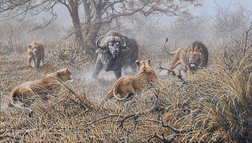 The Stand Off by Wildlife Artist Alan M Hunt
