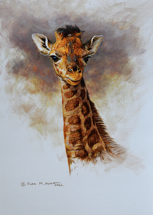 Young Giraffe painting by Alan M Hunt £POA For Sale