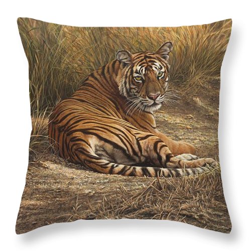 Customised Wildlife Cushions and Throws