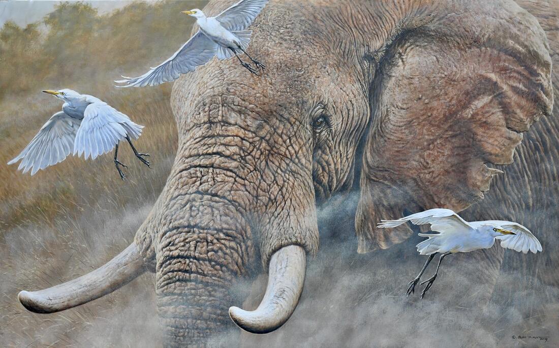 Original Wildlife Paintings For Sale Alan M Hunt