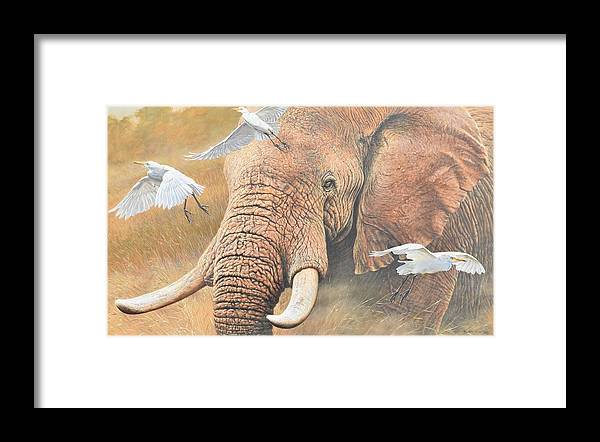 Elephant Wall Art Prints