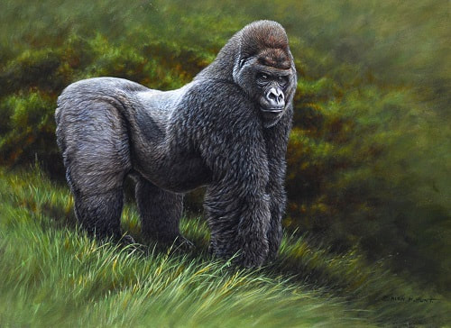 Silverback Gorilla Painting by Alan M Hunt