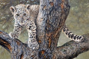 Amur Leopard Cub Painting