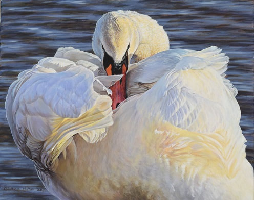 Swan Painting by Alanmhunt