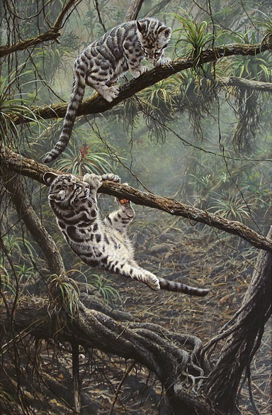 Original Clouded Leopard Paintings