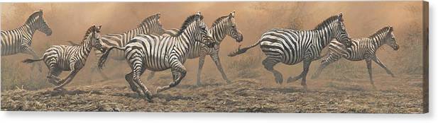 Canvas Zebra Print