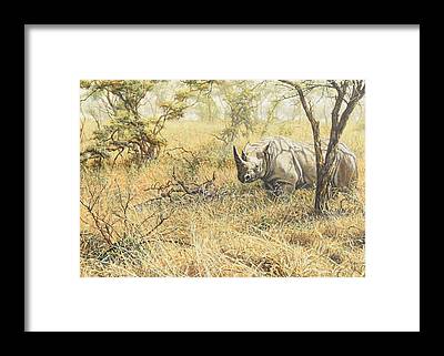 Unique Rhinoceros Art gifts