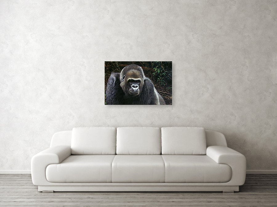 Gorilla Art Prints and Wall Art