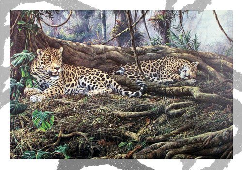 Jaguar Paintings