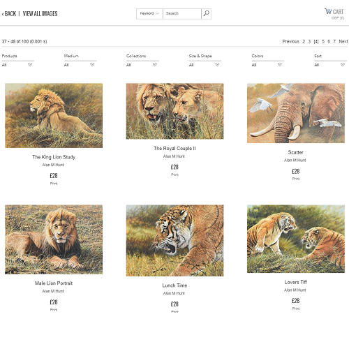 Online Wildlife Art Shop