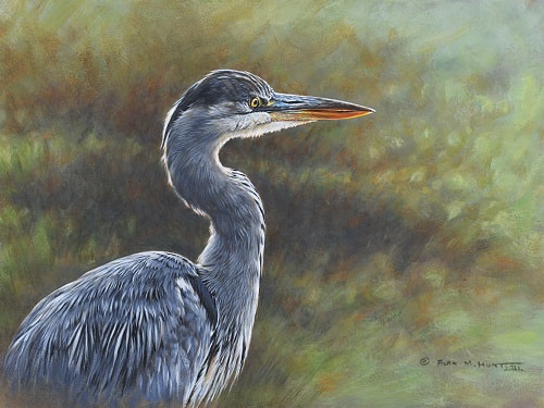 Young Heron Study painting